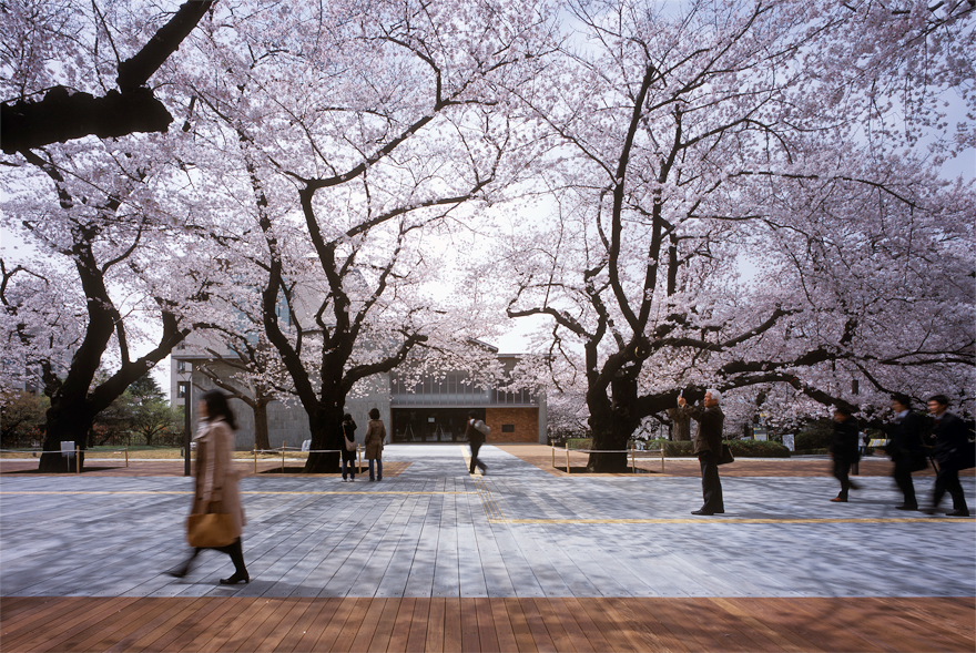 東京工業大学本館前プロムナード　Tokyo Institute of Technology Main Promenade